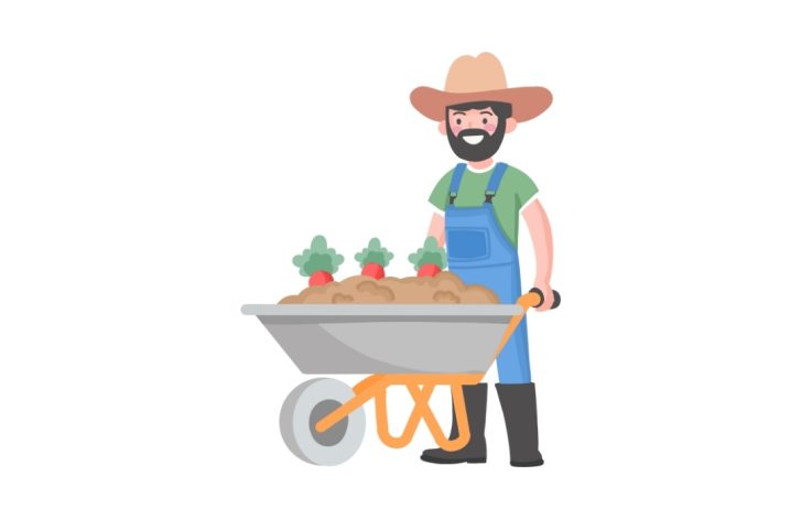 agricultura sustentável